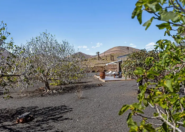 La Molina Lanzarote 度假居 *